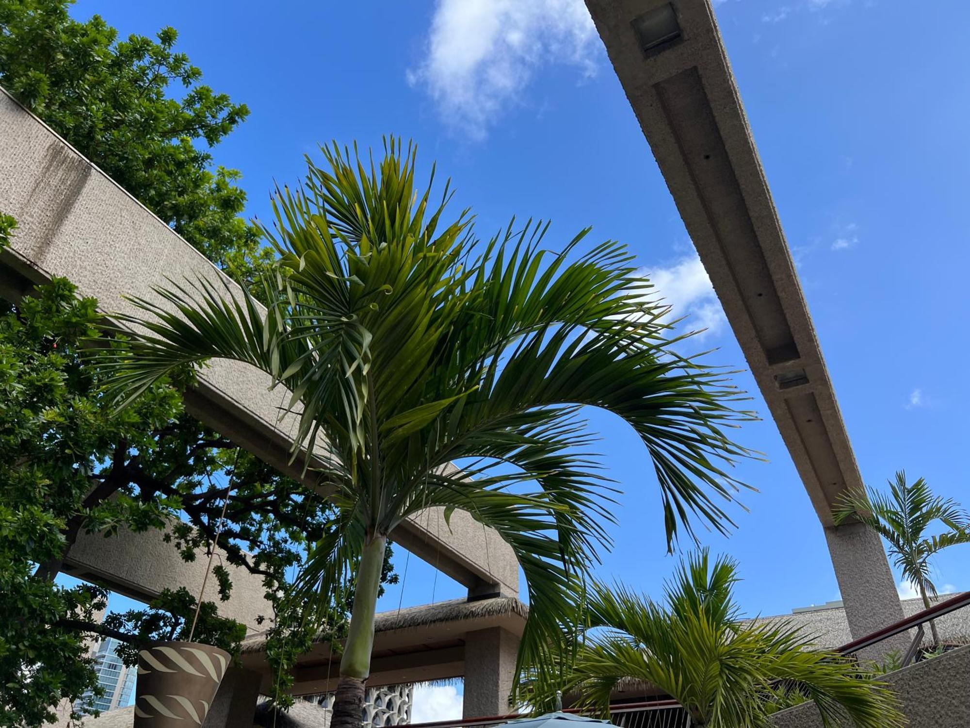 Capsule hotel First International Hawaii