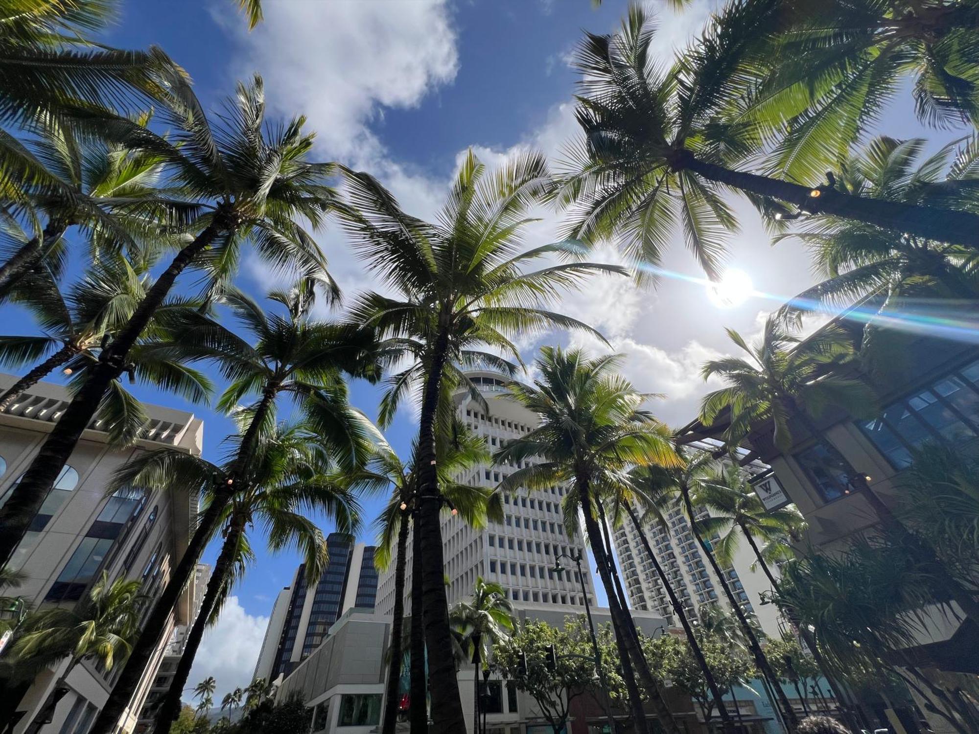 Capsule hotel First International Hawaii